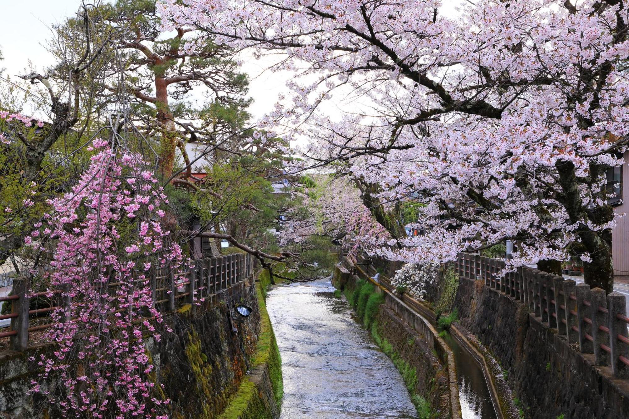 Rikka Fukiya Takayama (Gifu) Exterior foto